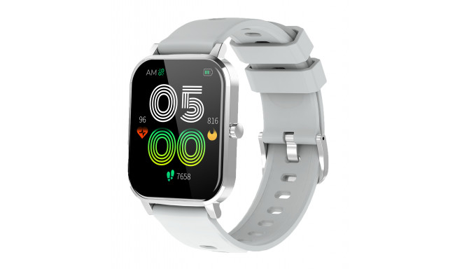 Denver SW-181 Grey