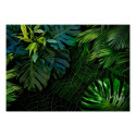 Fototapeet - Dark Jungle - 400x280