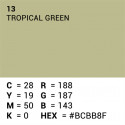 Superior background paper 2.72x11m, 13 tropical green
