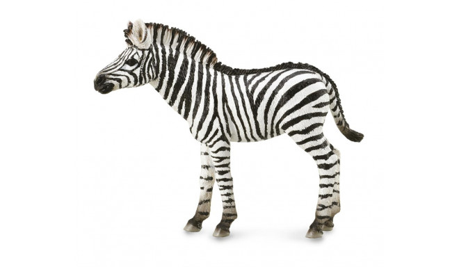 COLLECTA zebra foal, (M) 88850