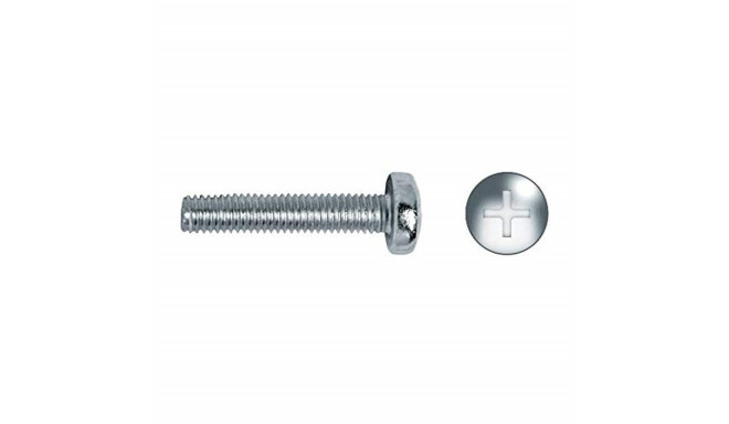 Kruvide karp CELO M4 x 10 mm 4 x 10 mm Meeterkeere 500 Ühikut Tsingitud