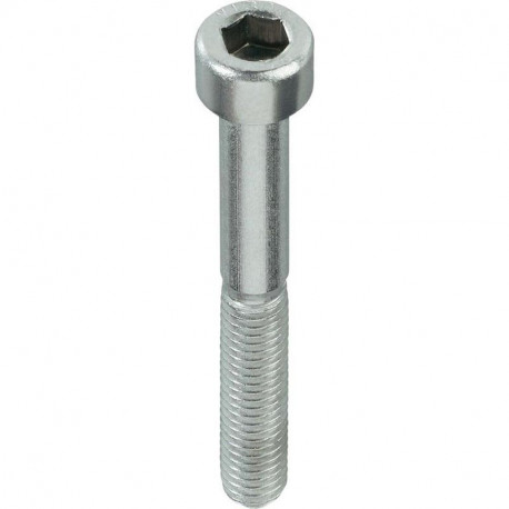 BOLT (DIN912 M5X20 ZN) 30 PCS