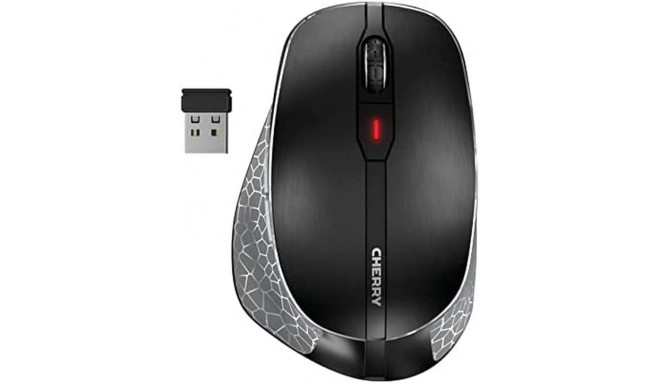 MW 8C ERGO, must