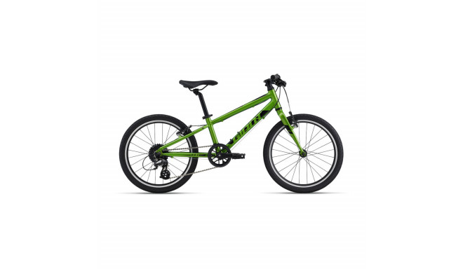 Ulikerge laste jalgratas Giant ARX 20" Metallic Green, 6-8-aastasele