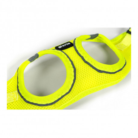 Koera rakmed Gloria Air Mesh Star Kollane XXS 24-26 cm