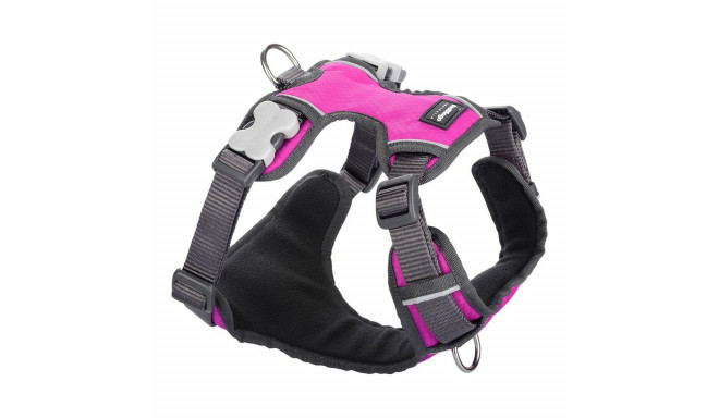 Dog Harness Red Dingo Padded Fuchsia XS size