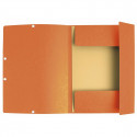 Folder Exacompta Orange A4 (10Units)