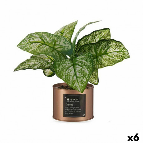 Dekoratiivne Taim Ibergarden Home Metall Plastmass Purk 26 x 26 x 26 cm Vask (6 Ühikut)