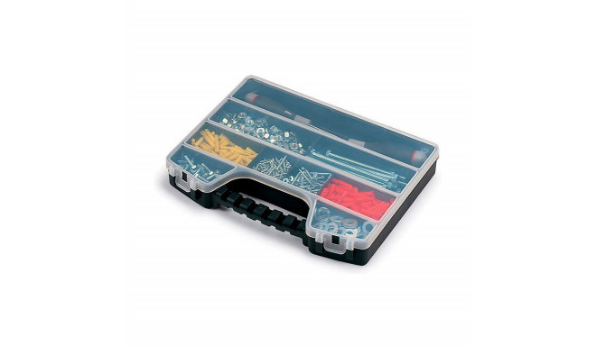 Sahtlitega kast Terry Pro Organizer Kaanega 32,5 x 25 x 5 cm polüpropüleen 13 Lahtrid