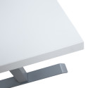 Desk ERGO with 2 motors 160x80cm, greyish white