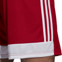 Adidas Tastigo 19 Shorts M DP3681 shorts (M)