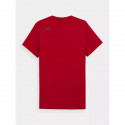 T-shirt 4F M 4FSS23TTSHM539-62S (M)