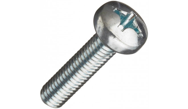KRUVID ÜMARPEA M6X50 ZN 20 TK.