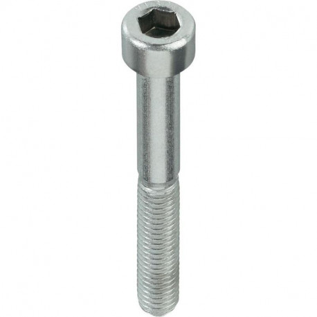 BOLT DIN912 M5X30 ZN (200)