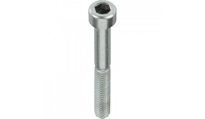 BOLT DIN912 M5X30 ZN (200)