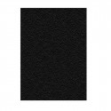 Binding Covers Displast Black A4 Cardboard (50 Units)