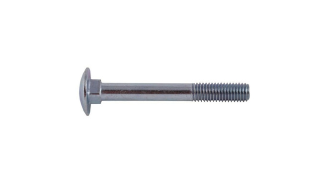polt (DIN603 M10X40 ZN) 10 tk
