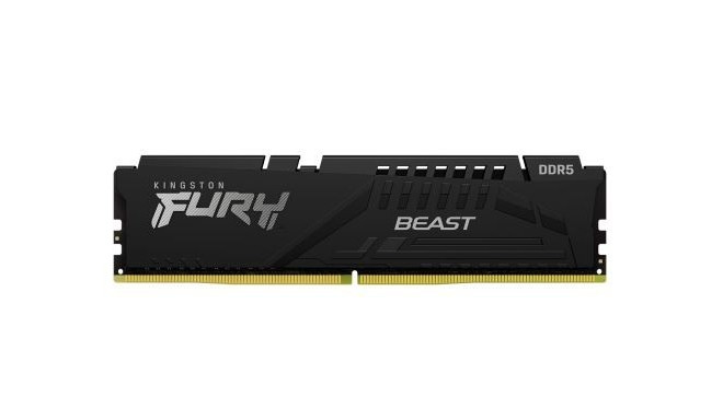 Memory DDR5 Fury Beast Black 32GB(132GB)/5600 CL36