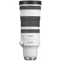 Canon RF 100-300mm f/2.8 L IS USM lens