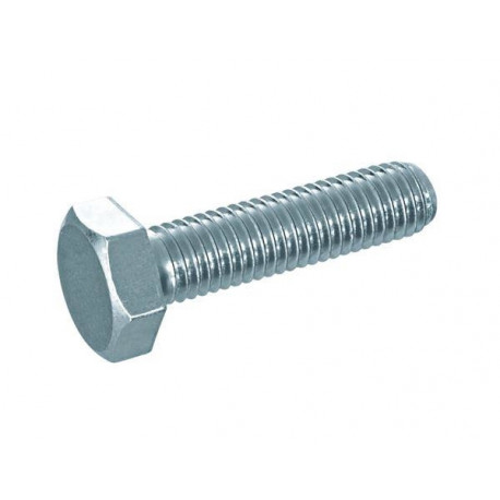 SCREW DIN 933 8.8 M10X30 (100)