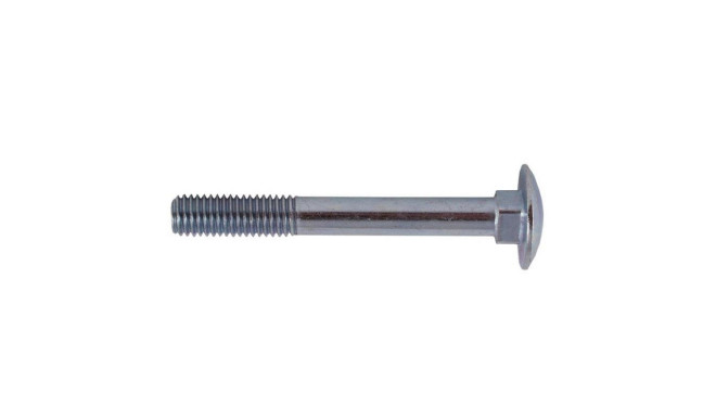 SCREW DIN603 M8X100 (50)