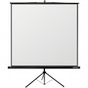 Reflecta projector screen Crystal-Line Tripod lux 125x125