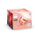 Philips Hue Iris Portable lamp, Copper special edition