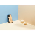 MAN&WOOD case for iPhone 12/12 Pro cat with red fish