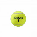 tenisa bumbiņas Wilson Roland Garros All Court Dzeltens