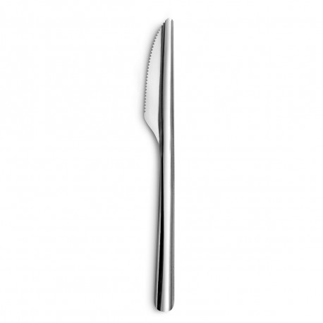 Knife Set Amefa Ecologic Slim Metal Steel (12 Units)