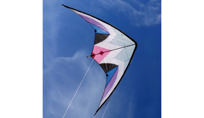 Delta Wing Stunt Kite