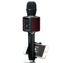 Lenco BMC-090 Black Karaoke microphone