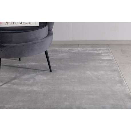 Vaip Indra 200x300 cm, hõbe