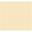 Card Iris Beige 50 x 65 cm (25 Units)