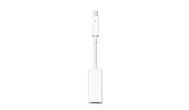 Apple Thunderbolt to FireWire Adapter