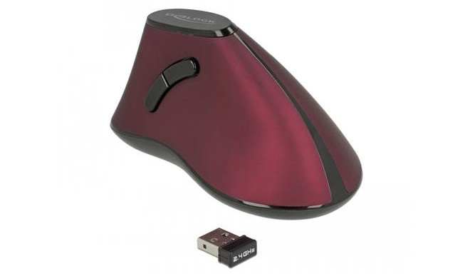 DeLOCK 12528 mouse Right-hand RF Wireless Optical 1000 DPI