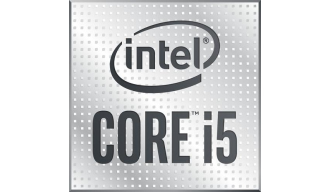 Intel Core i5-10500 processor 3.1 GHz 12 MB Smart Cache Box