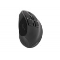 NATEC Euphonie mouse Right-hand Bluetooth Optical 2400 DPI