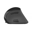 NATEC Euphonie mouse Right-hand Bluetooth Optical 2400 DPI