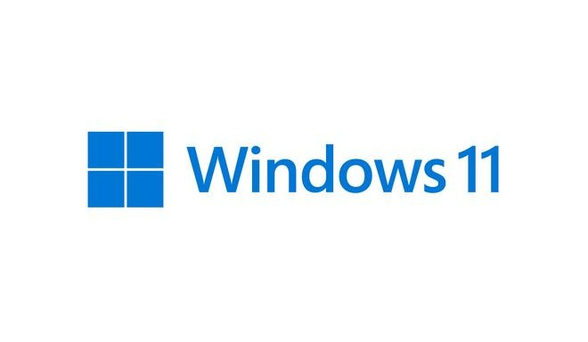 Microsoft Windows 11 Pro OEM