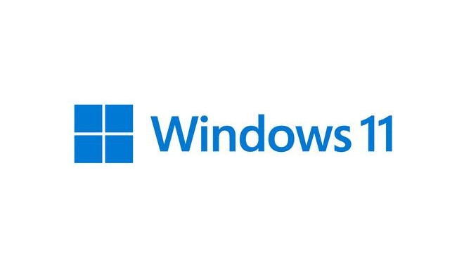 Microsoft Windows 11 Pro for Workstations 1 license(s)