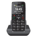 Evolveo EP-500 mobile phone 4.57 cm (1.8") 84 g Black