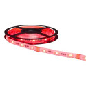 Denver LSC-531 strip light Universal strip light Indoor 5000 mm