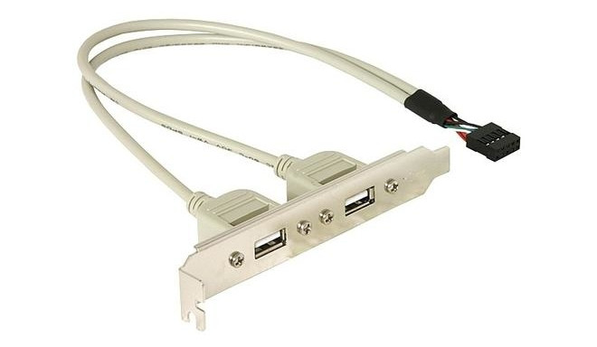 DeLOCK Slotbracket 1x internal USB 5pin &gt; 2x USB2.0 external