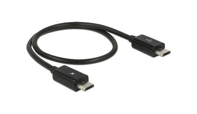 DeLOCK 83570 USB cable 0.3 m USB 2.0 USB B Black