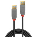 Lindy 1m USB 3.2 Type A Cable, Anthra Line