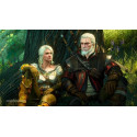 CD Projekt The Witcher 3: Wild Hunt - Complete Edition