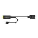 Akasa HDMI to DisplayPort Adapter cable