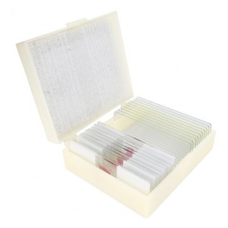 Konus Preparation Set Cell Reproduction And Development (10 Stuks)