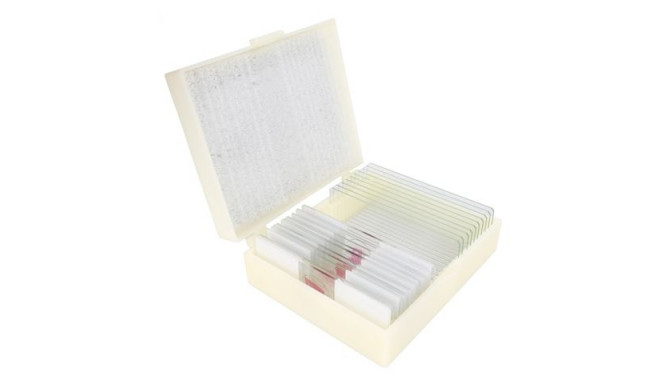 Konus Preparation Set Cell Reproduction And Development (10 Stuks)